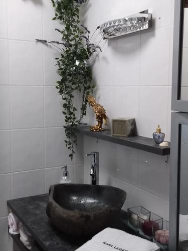La salle de bains est pourvue d'un lavabo noir sur le comptoir. dans l'établissement LES BIGORNEAUX, à Saint-Suliac