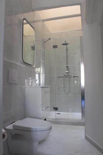 a white bathroom with a toilet and a shower at CHIC ANDREOSSY-COSY-AUTHENTIQUE-WI-Fi-Vélo in Castelnaudary