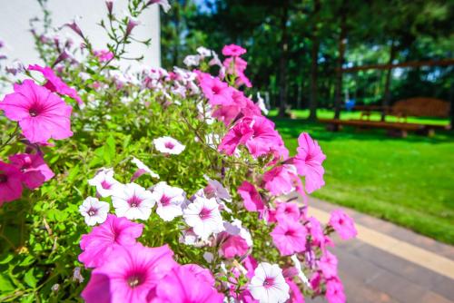Taman di luar Willa Boconek - Zator Przeciszów