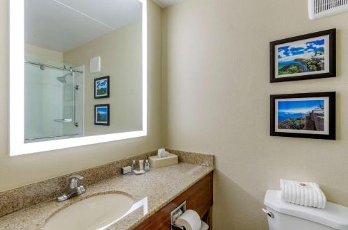 a bathroom with a toilet, sink and mirror at Comfort Inn Roanoke Civic Center in Roanoke