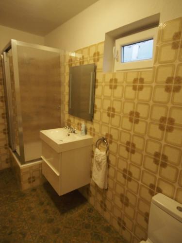 a bathroom with a sink and a shower at Fewo Greifenstein in Greifenstein