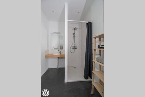 a bathroom with a shower and a sink in a room at Gîte de Granit Bleu in Besse-et-Saint-Anastaise
