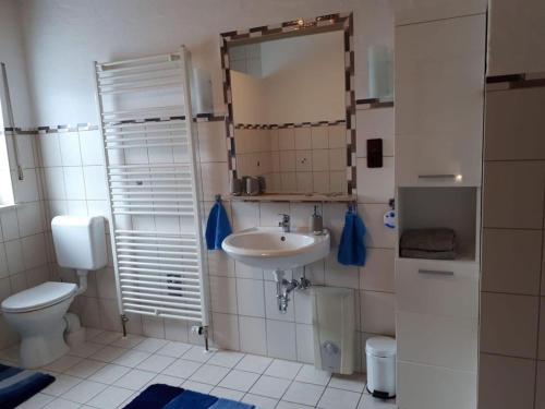a bathroom with a sink and a toilet and a mirror at Ferienhaus Sonnenhang in Scheiden