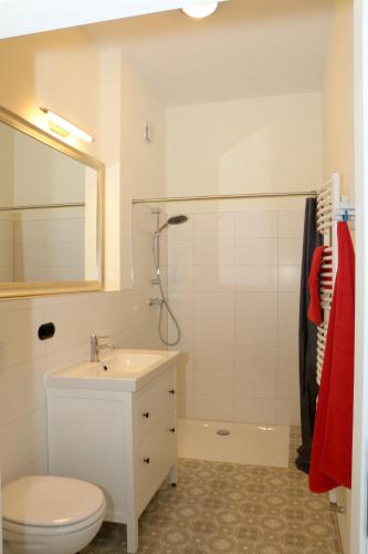 a bathroom with a sink and a toilet and a shower at 9-Personen-Fewo - viel Platz für Familien, Gruppen & Seminare in Buchholz