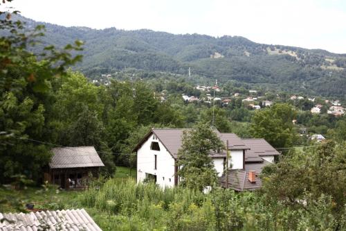 a group of houses on a hill with mountains in the background at Hățașul Bunicului in Arefu