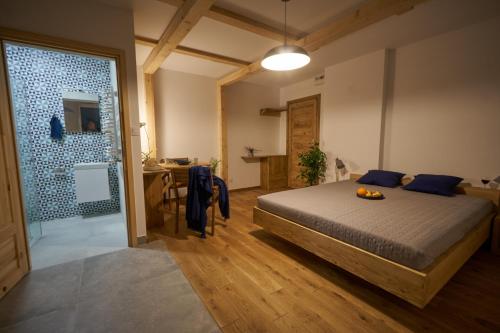 a bedroom with a bed and a bathroom with a shower at Apartamenty Ponidzie in Busko-Zdrój