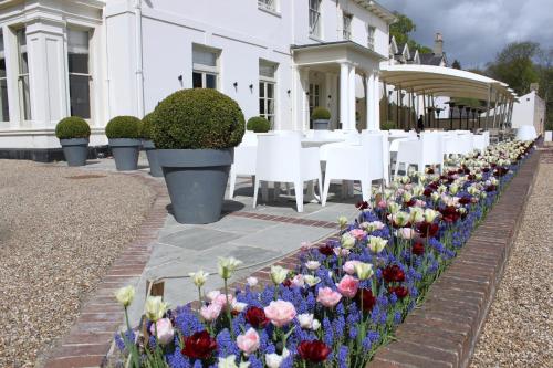 a row of flowers in front of a building at Milsoms Kesgrave Hall in Ipswich