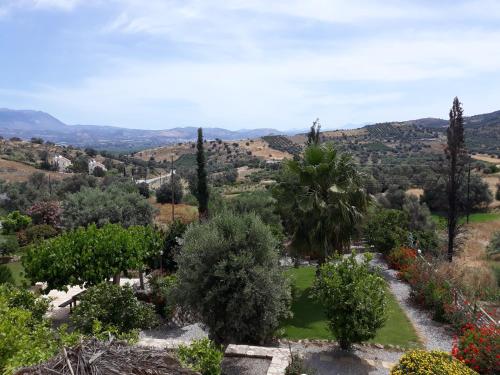 Blick auf einen Garten mit Bäumen und Sträuchern in der Unterkunft Sivas Apartments-Studios,Sigelakis with very nice view in Sívas