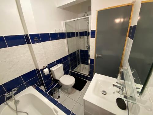 舍尔谢Appartement F3 de standing A Schoelcher的带马桶、水槽和淋浴的浴室