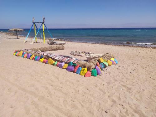 a long line of animals on the beach at SakraTah Camp - eco friendly in Taba