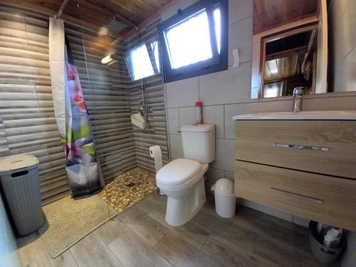 a small bathroom with a toilet and a sink at CASAMELIAS Le chalet in Cilaos