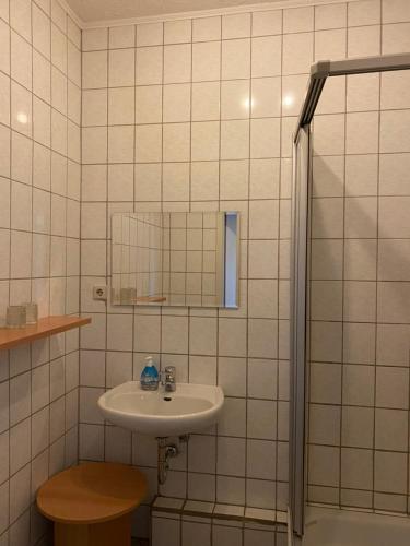 Vonios kambarys apgyvendinimo įstaigoje Alte Schmiede