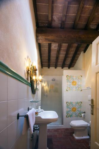 a bathroom with a sink and a toilet at Tenuta di Ghizzano Resort in Ghizzano