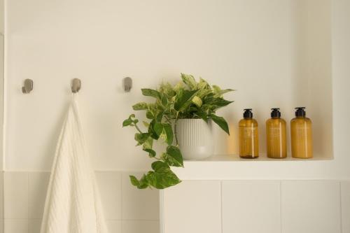 a shelf in a bathroom with three bottles on it at Da Coco - Rooms in Padova