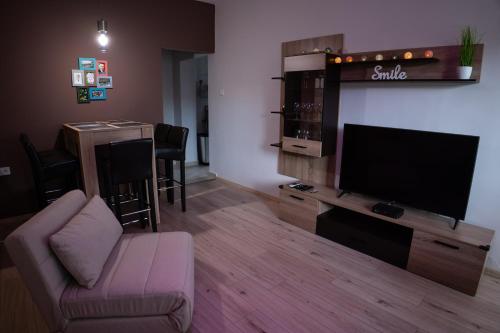 TV a/nebo společenská místnost v ubytování Viva Apartman
