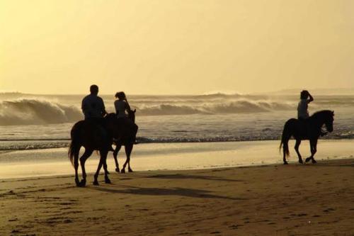 a group of people riding horses on the beach at Sancta Maria 10 - Ultimate in luxury & majestic sea views includes private entertainment deck - Free wifi in Kingsburgh