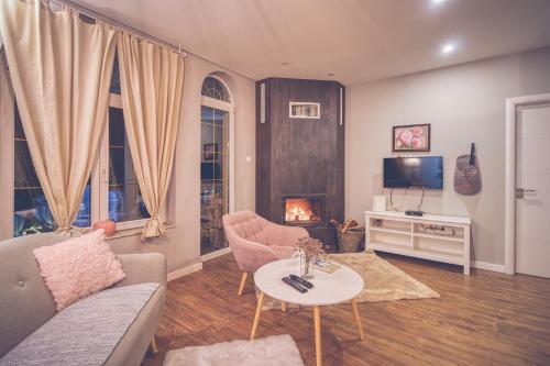 a living room with a couch and a table and a fireplace at Prenociste Dunav 97 K3 in Novi Banovci