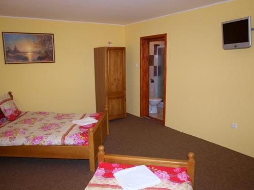 a bedroom with two beds and a bathroom with a tv at Pensiunea Elisabeta in Sovata