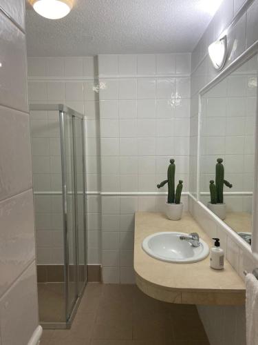 y baño con lavabo, ducha y espejo. en Wait and Sea Apartment Costa del Silencio Tenerife en Arona
