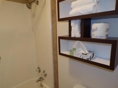 Ένα μπάνιο στο Dover Inn and Suites