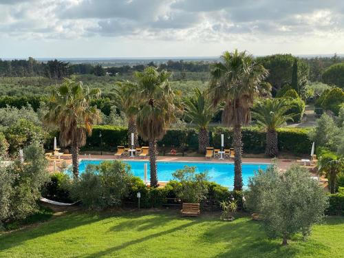 an aerial view of a pool with palm trees at Le Macine in Cecina