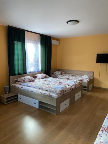 普羅夫迪夫的住宿－Vesi's Rooms，一间卧室设有两张单人床和一个窗户。