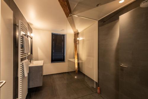 een badkamer met een douche, een wastafel en een spiegel bij Spacious modern appartments in the heart of Brussels in Brussel