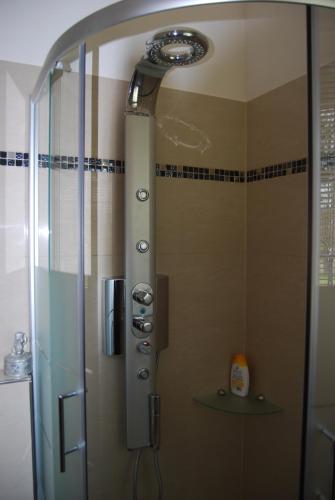 y baño con ducha y puerta de cristal. en Ferienwohnung-Zierenberg, en Zierenberg