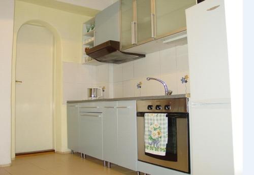 een keuken met een spoelbak en een fornuis bovenste oven bij Excellent Location in Bratislava