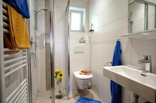 uma casa de banho com um WC, um lavatório e um chuveiro em Haus Lackner am Weissensee in Kärnten em Weissensee