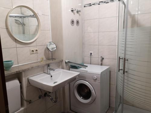 W łazience znajduje się pralka i umywalka. w obiekcie Appartment Leo w mieście Schönwald