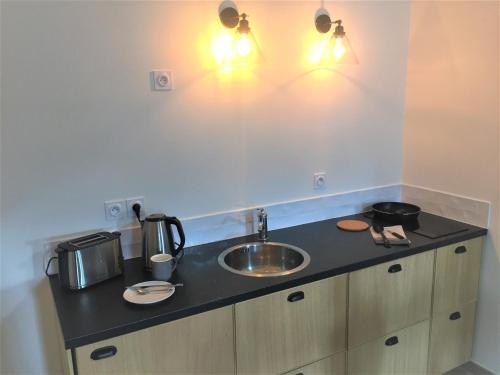 a kitchen counter with a sink and two lights at Carnets de voyage Coté studios in Lorgues
