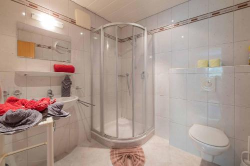 a bathroom with a shower and a toilet at Haus Gletscherblick in Neustift im Stubaital