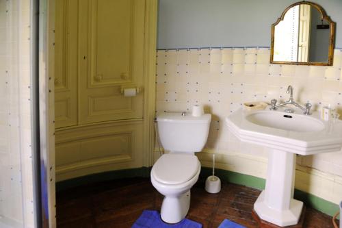 La salle de bains est pourvue de toilettes blanches et d'un lavabo. dans l'établissement Chateau de Bresse sur Grosne, à Bresse-sur-Grosne