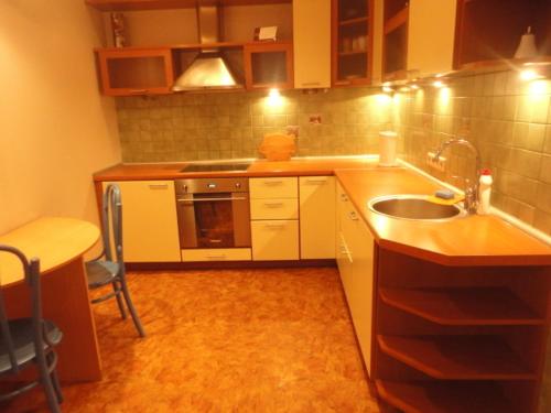 a small kitchen with a sink and a stove at Capital Riga Apartment - Dzirnavu Street in Riga