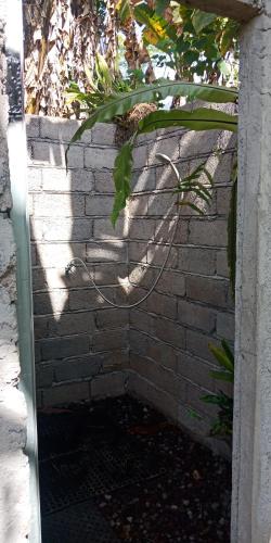 a brick wall with a shadow of a plant on it at jungleadventure cabin camping in Bedugul