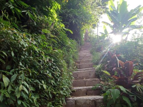 a set of stairs in a lush green garden at ECO Bedugul adventurer camp in Bedugul