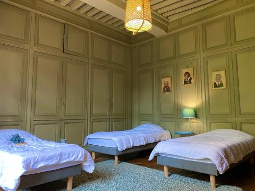 Zimmer mit 2 Betten und einem Kronleuchter in der Unterkunft Château de Moulins in Moulins-le-Carbonnel