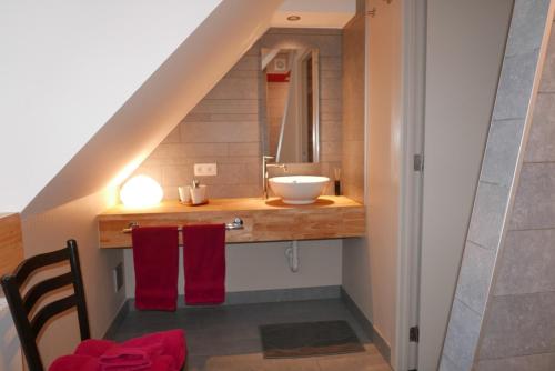 a bathroom with a sink and a mirror at B&B Bella en Basiel in Bruges