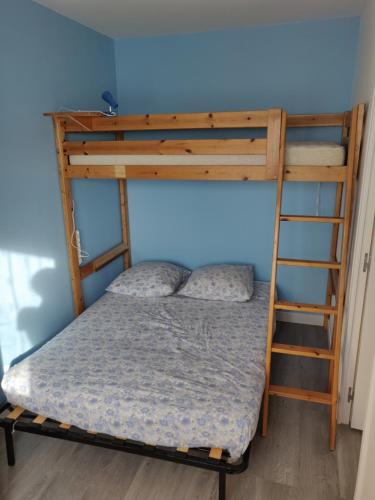 une chambre avec un lit superposé et une échelle dans l'établissement Appartement F3 Cabourg près plage hippodrome centre-ville, à Cabourg