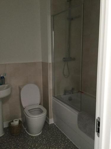 a bathroom with a toilet and a tub and a sink at 2 Lapwing Drive in Hayle