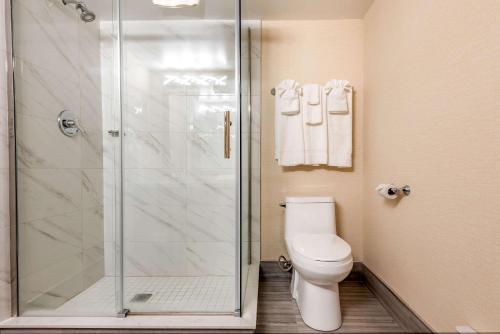 a bathroom with a toilet and a shower at Quality Inn & Suites in Niagara Falls