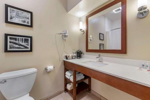 a bathroom with a sink and a toilet and a mirror at Comfort Inn in Crawfordsville