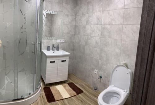 uma casa de banho com um WC, um chuveiro e um lavatório. em Babylon Apartments on Vidinska 41 em Rivne