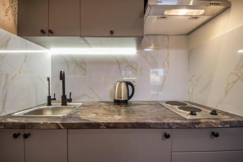 a kitchen with a sink and a counter top at Apartments on Ploshcha Ukrainskykh Heroiv in Kyiv
