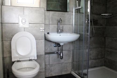 een badkamer met een toilet, een wastafel en een douche bij Panorama Box op Camping de Stal in Drijber