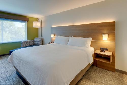 a hotel room with a large bed and a window at Holiday Inn Express & Suites - Roanoke – Civic Center in Roanoke