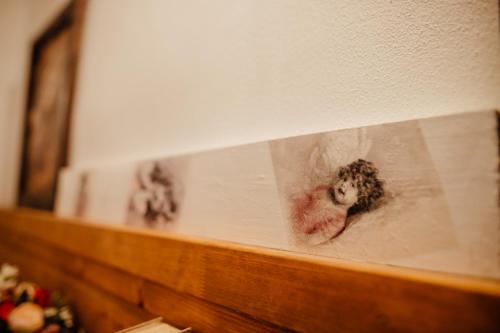 a reflection of a stuffed animal in a window at Strieborný dvor in Banská Štiavnica