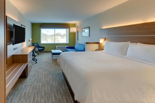 a hotel room with a large bed and a television at Holiday Inn Express & Suites - Roanoke – Civic Center in Roanoke
