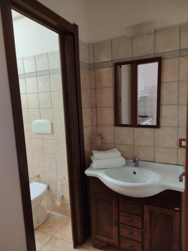 New Camping Coccorrocci tesisinde bir banyo